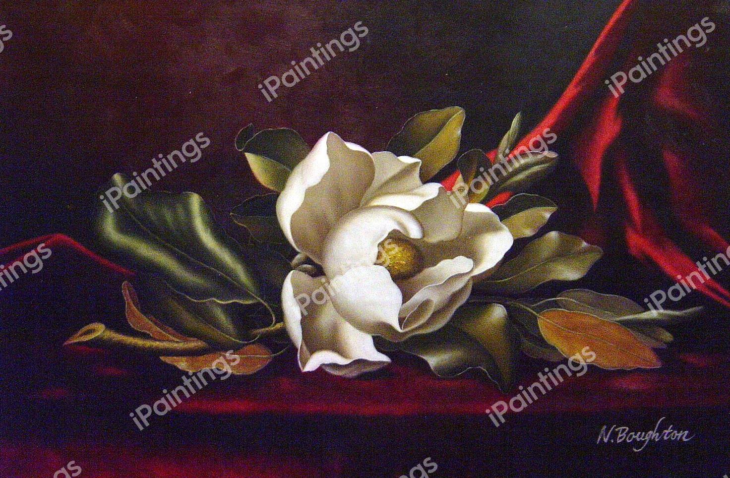 A Magnolia Blossom. The painting by Martin Johnson Heade