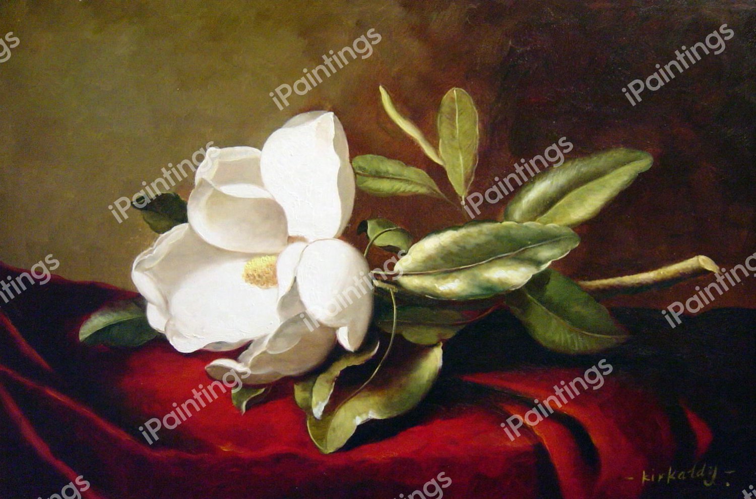 A Magnolia On Red Velvet. The painting by Martin Johnson Heade