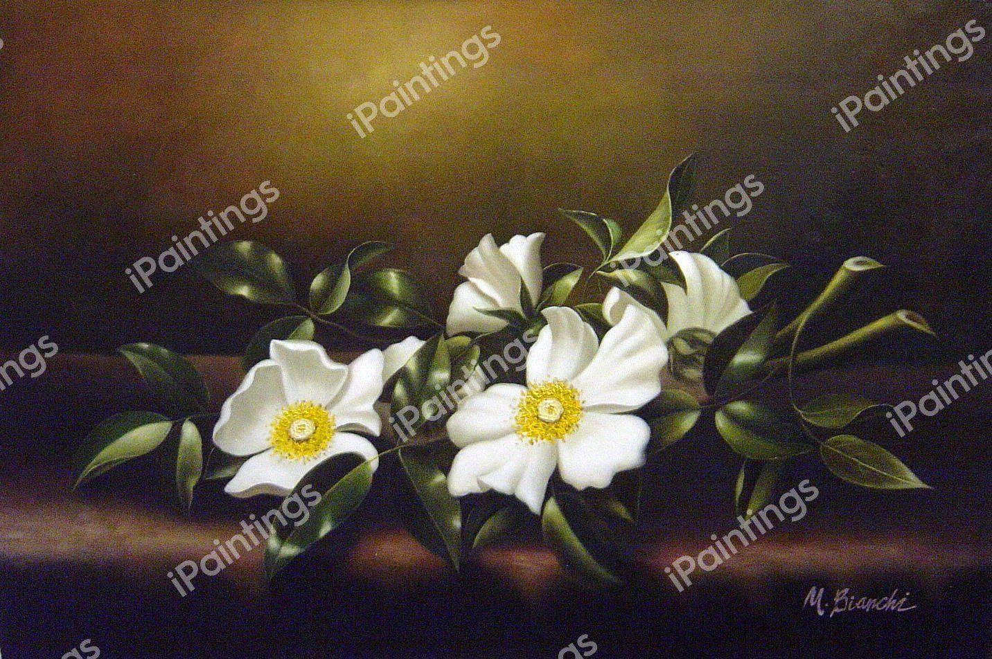 Cherokee Roses on a Purple Velvet Cloth. The painting by Martin Johnson Heade