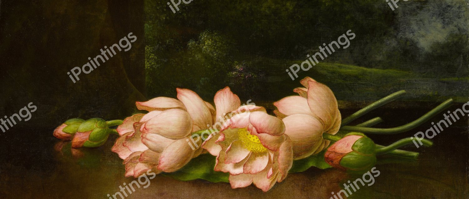 Egyptian Lotus Blossom. The painting by Martin Johnson Heade