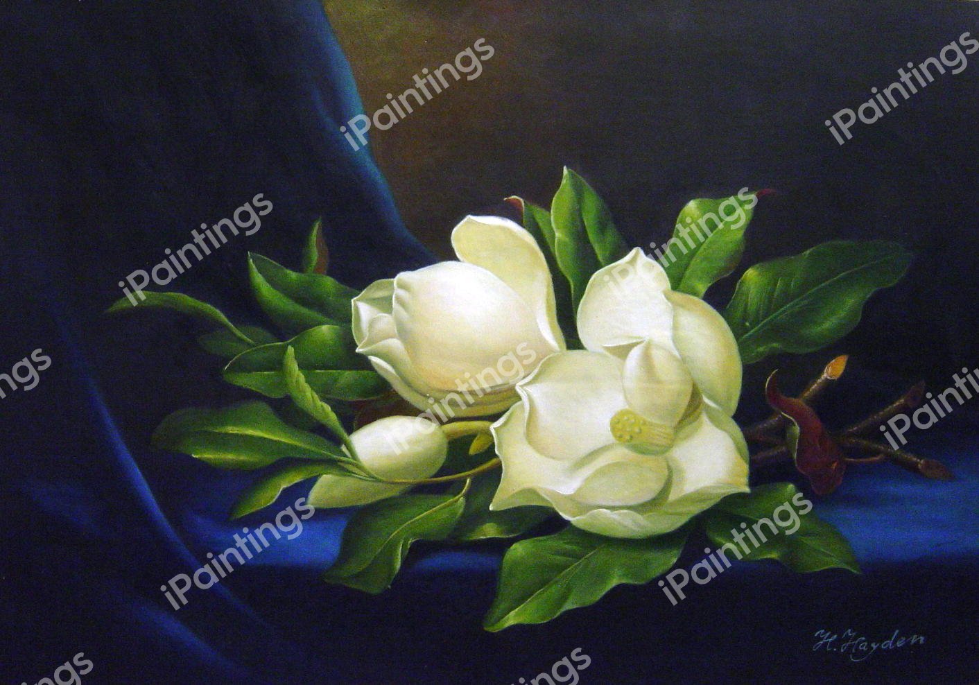 Giant Magnolias On A Blue Velvet Cloth. The painting by Martin Johnson Heade