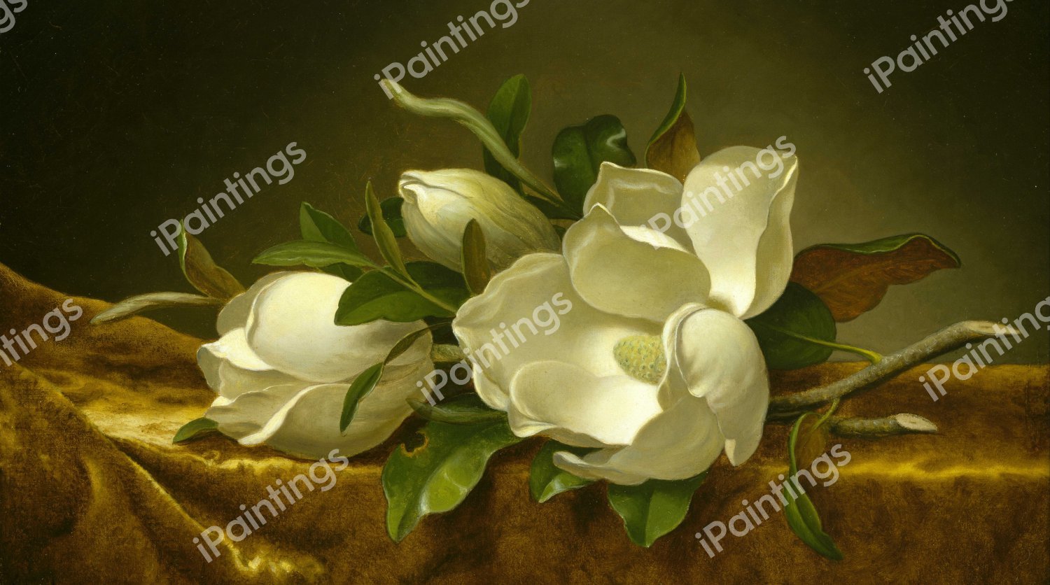 Magnolias on Gold Velvet Cloth. The painting by Martin Johnson Heade
