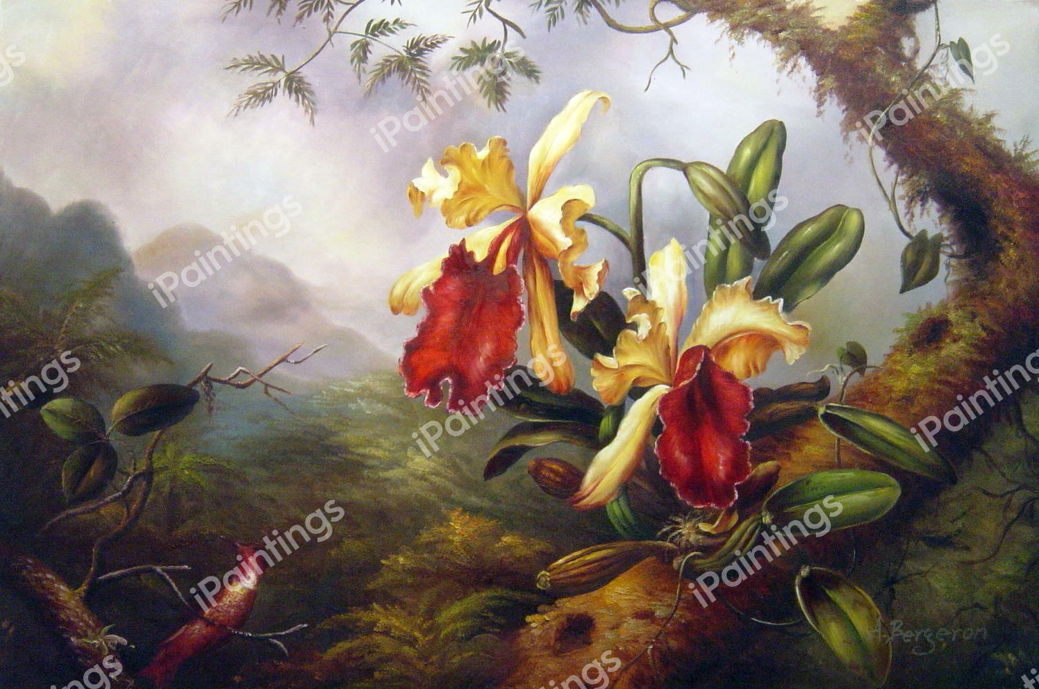 Orchids And Hummingbird. The painting by Martin Johnson Heade