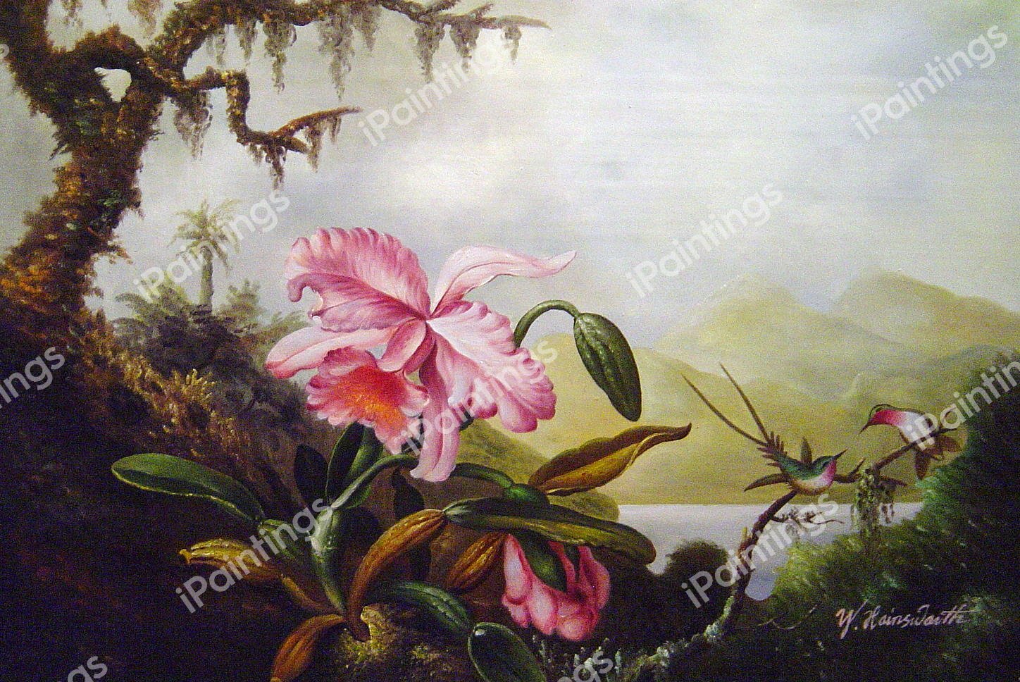 Orchids and Hummingbirds Near A Mountain Lake. The painting by Martin Johnson Heade