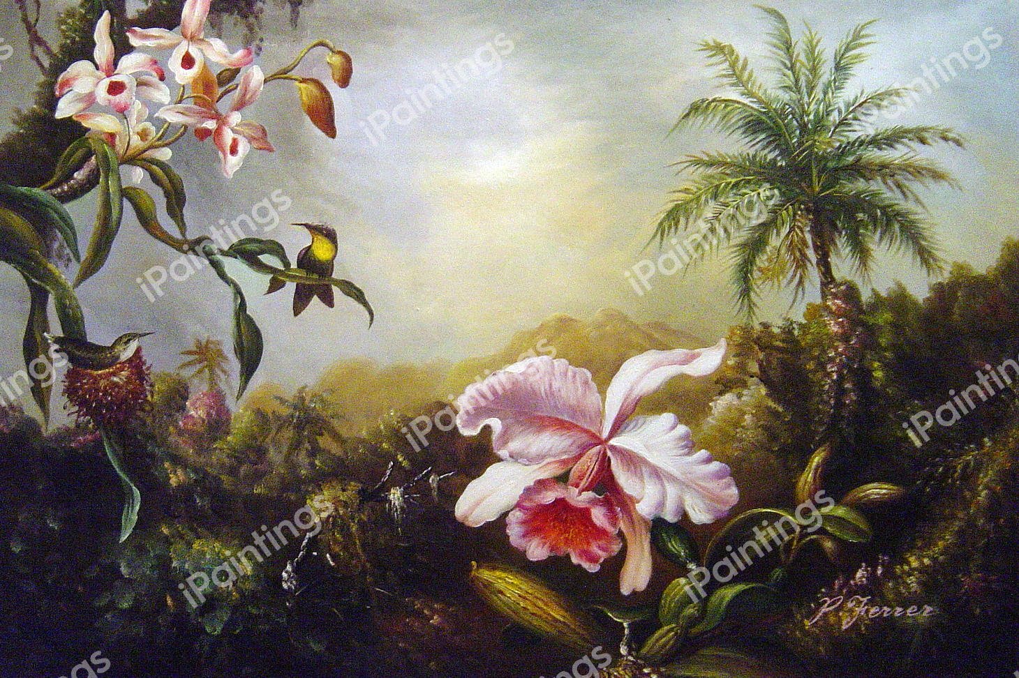 Orchids, Nesting Hummingbirds And A Butterfly. The painting by Martin Johnson Heade