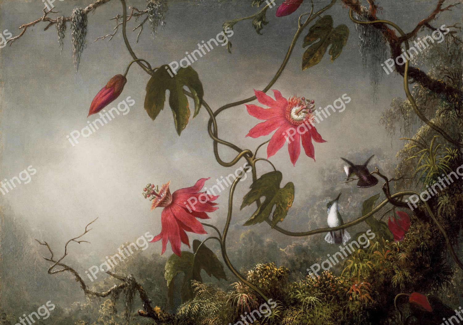 Passion Flowers with Hummingbirds. The painting by Martin Johnson Heade