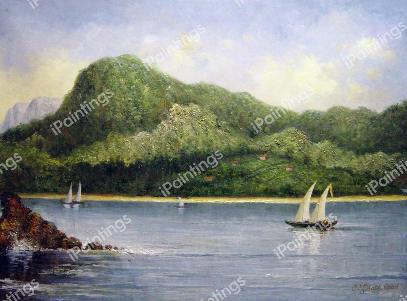 Seascape-Brazilian View. The painting by Martin Johnson Heade