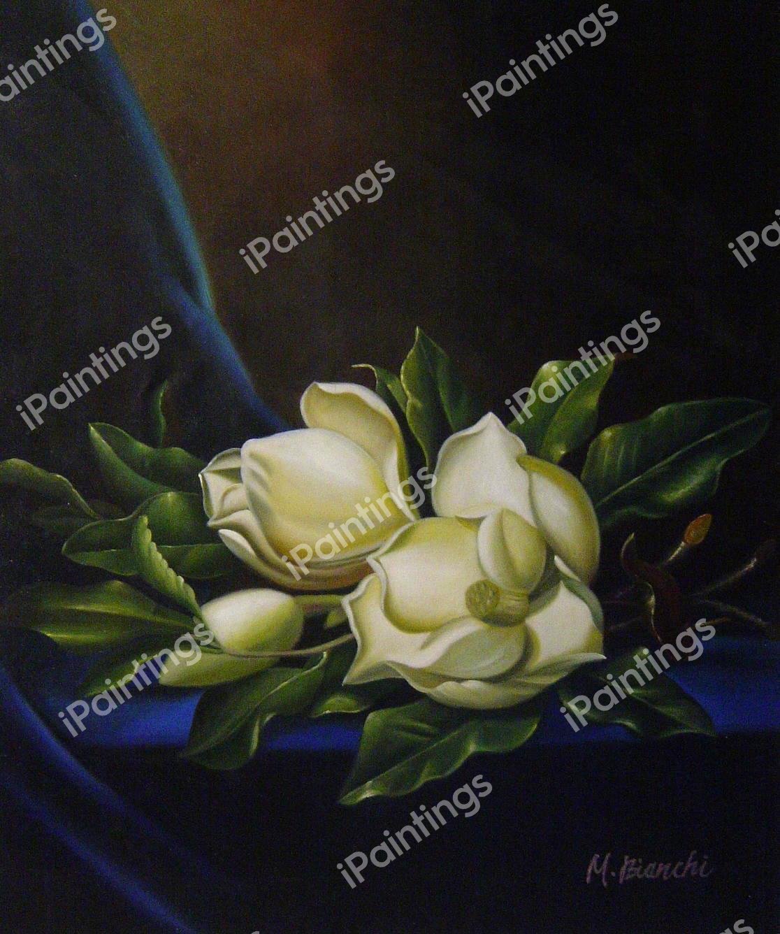 The Giant Magnolias On A Blue Velvet Cloth. The painting by Martin Johnson Heade