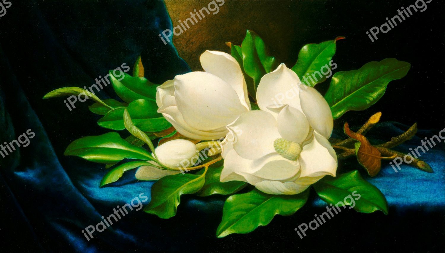 The Giant Magnolias on a Blue Velvet Cloth. The painting by Martin Johnson Heade