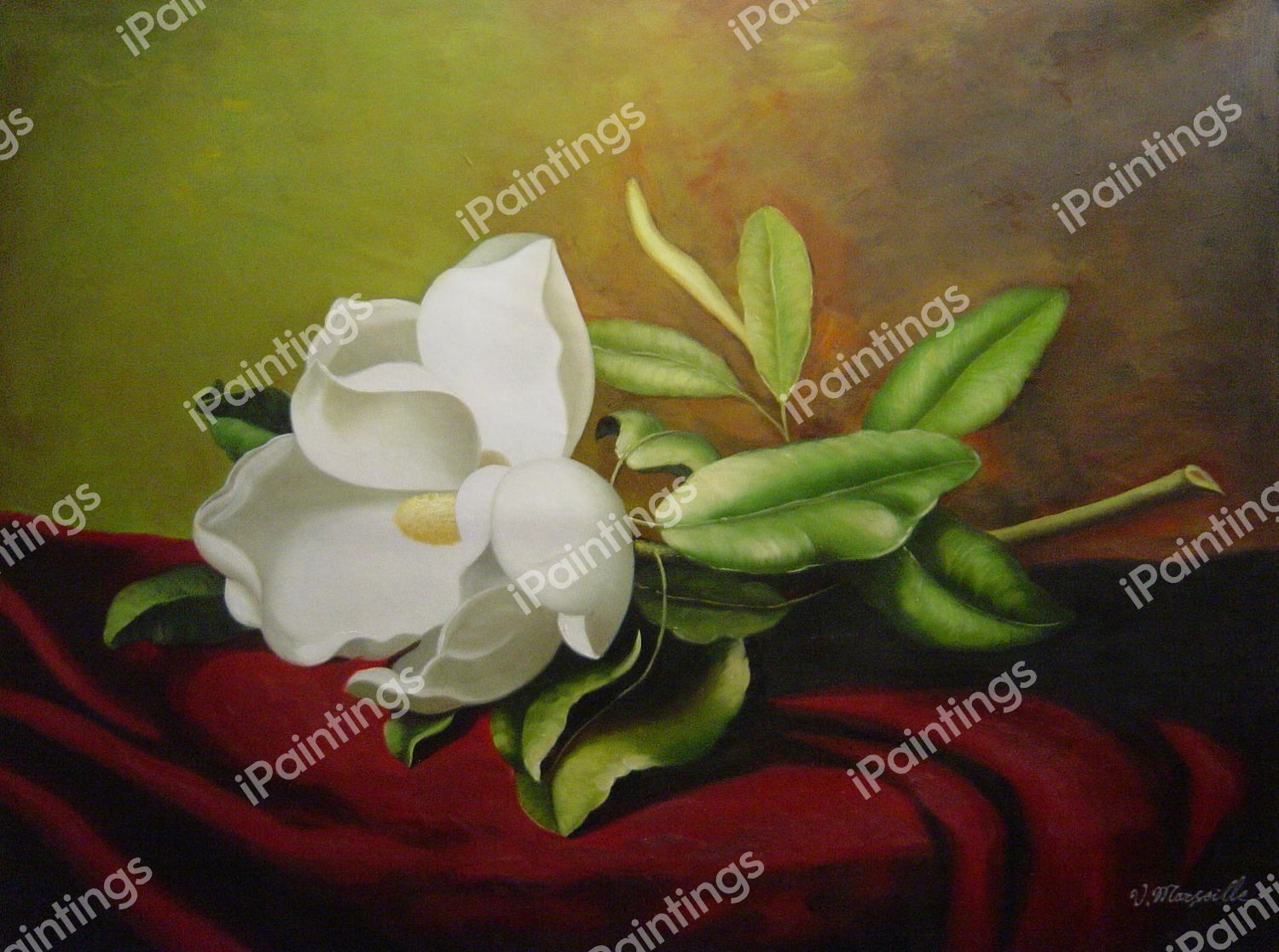 The Magnolia On Red Velvet. The painting by Martin Johnson Heade
