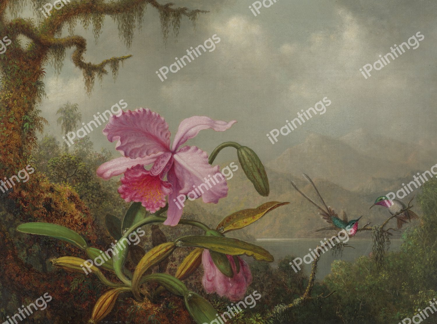 The Orchids and Hummingbirds. The painting by Martin Johnson Heade