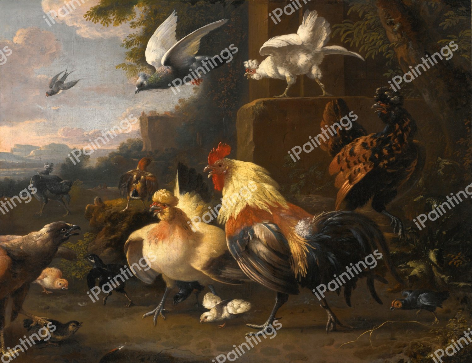 Birds in a Landscape. The painting by Melchior De Hondecoeter