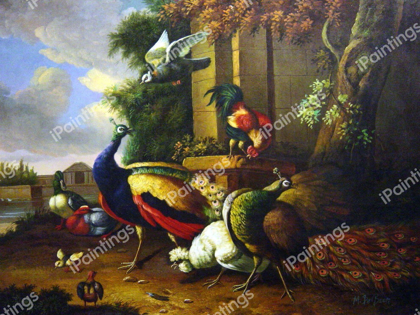 Birds In A Park. The painting by Melchior De Hondecoeter