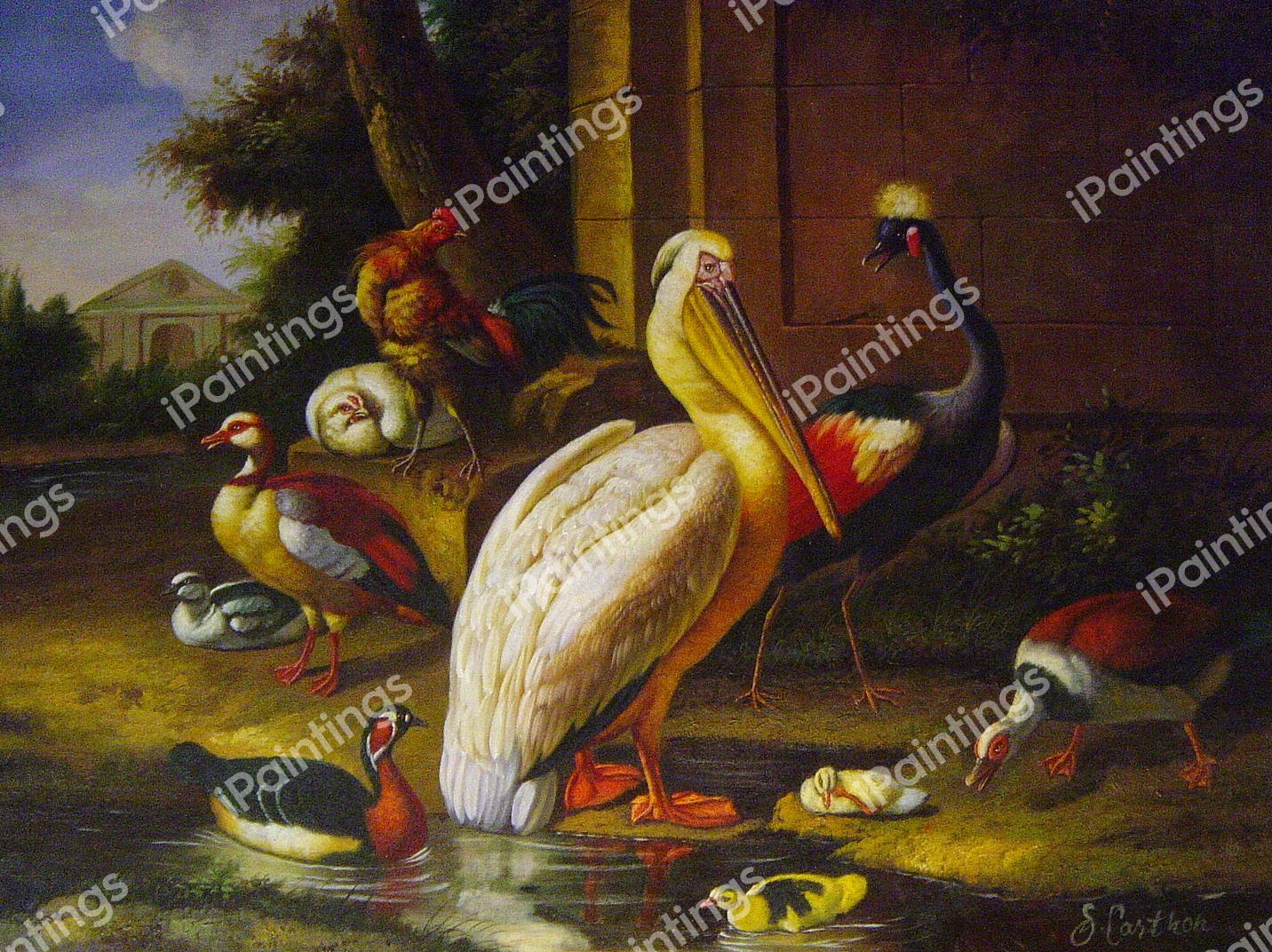 Birds In A Park. The painting by Melchior De Hondecoeter