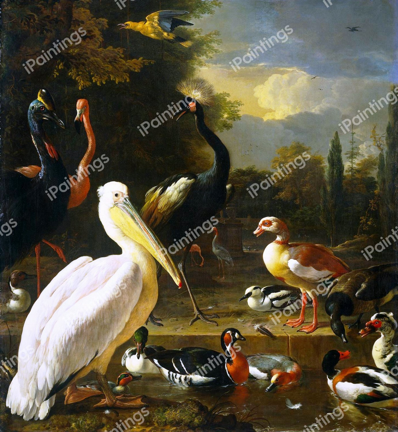 The Birds in a Park. The painting by Melchior De Hondecoeter