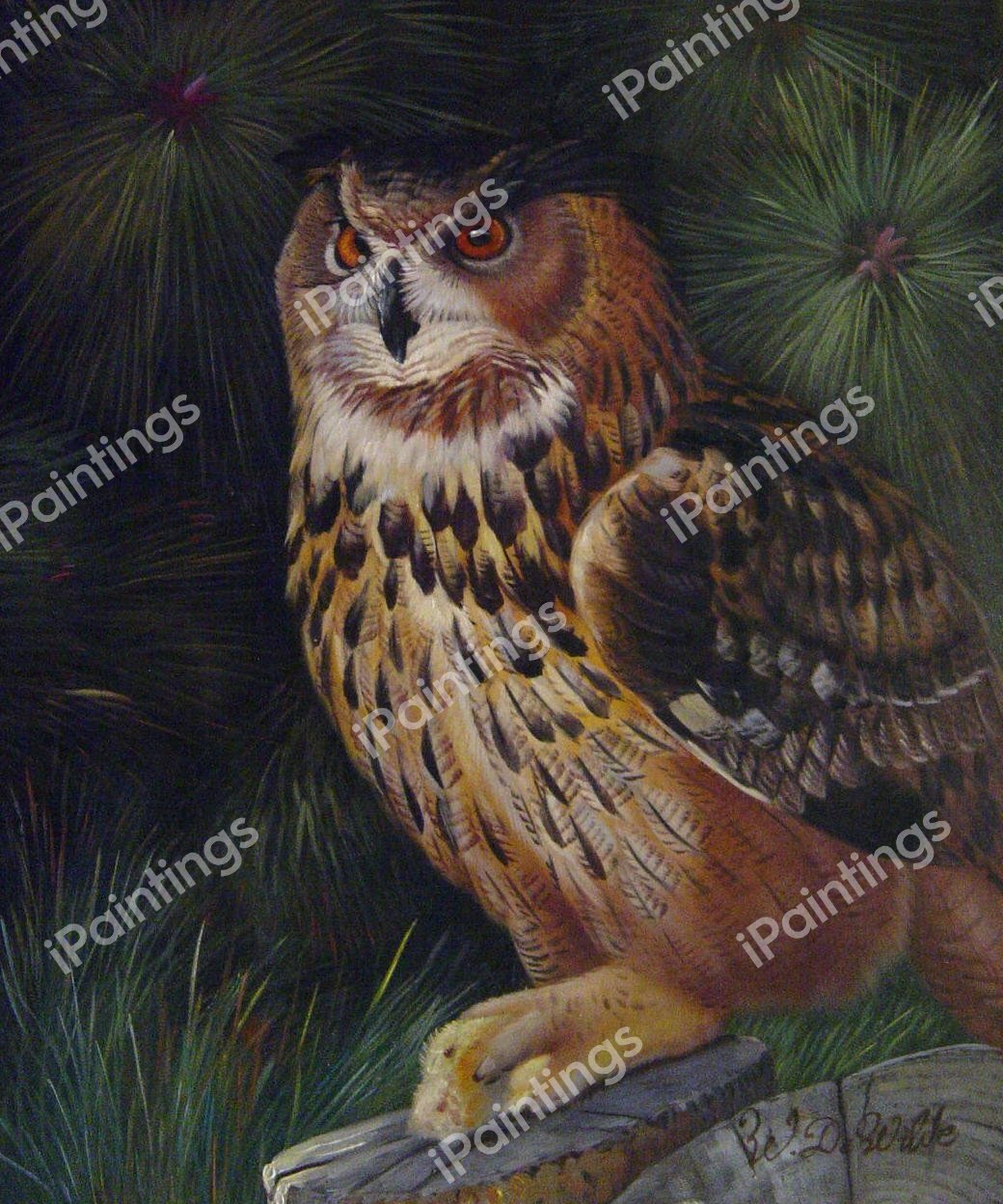 Oehoe, An Almost Extinct Owl. The painting by Our Originals