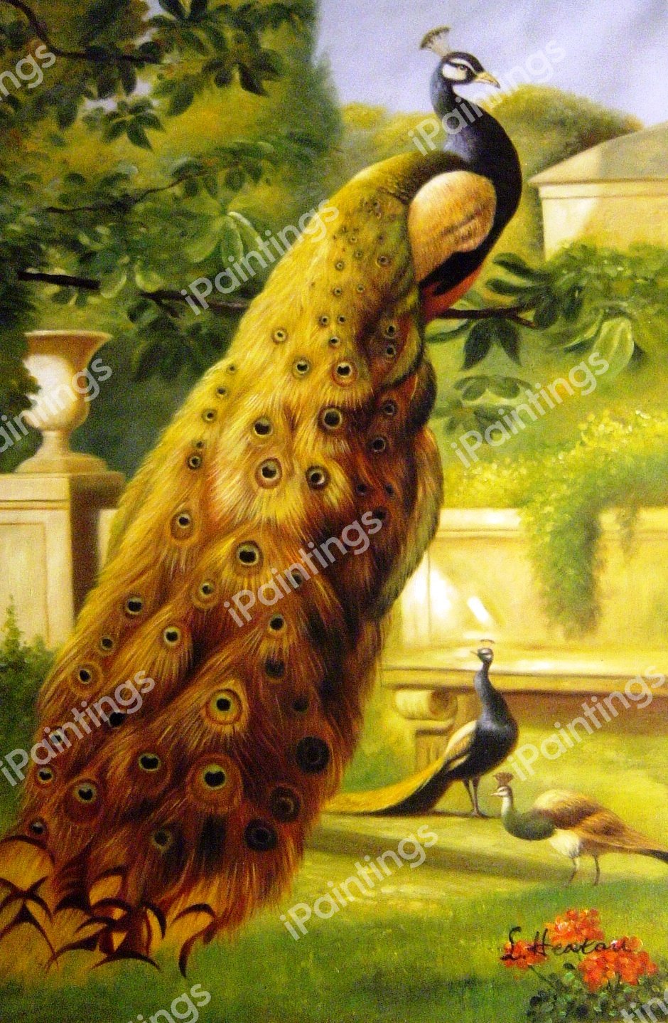 Peacocks In The Park. The painting by Olaf Hermansen