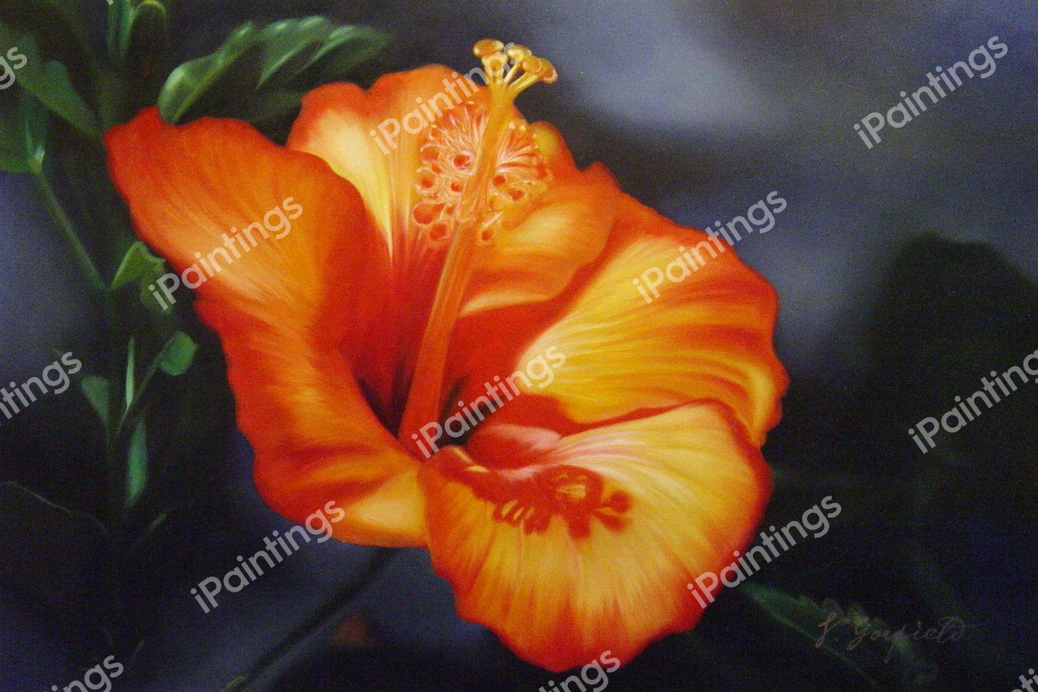 Orange Hibiscus. The painting by Our Originals