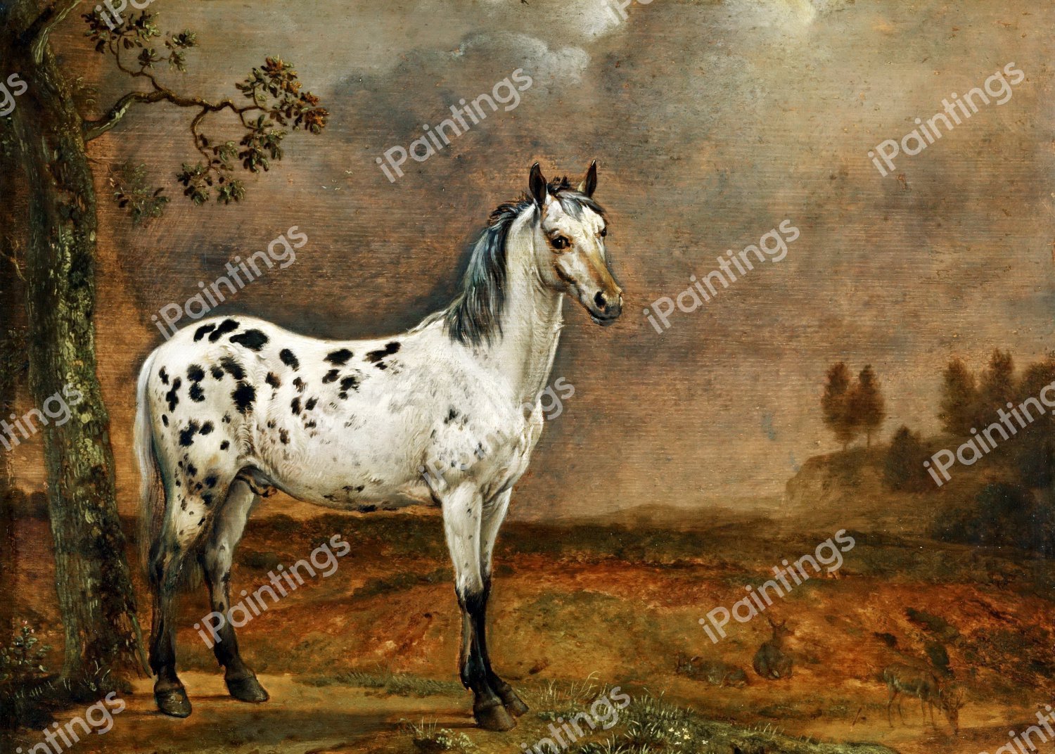 The Spotted Horse. The painting by Paulus Potter