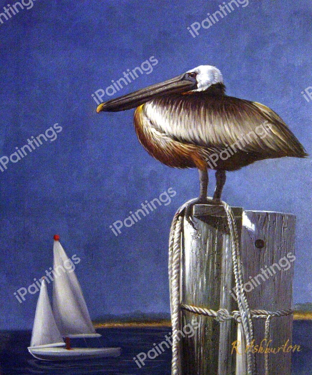 Pelican Watch. The painting by Our Originals