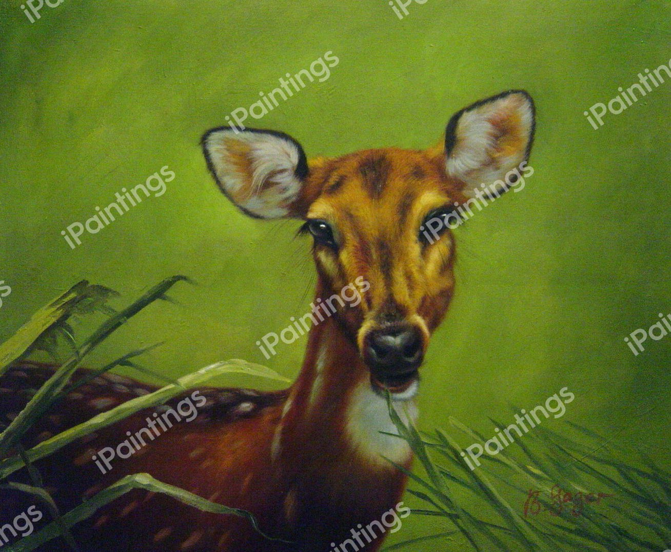 Portrait Of A Deer. The painting by Our Originals