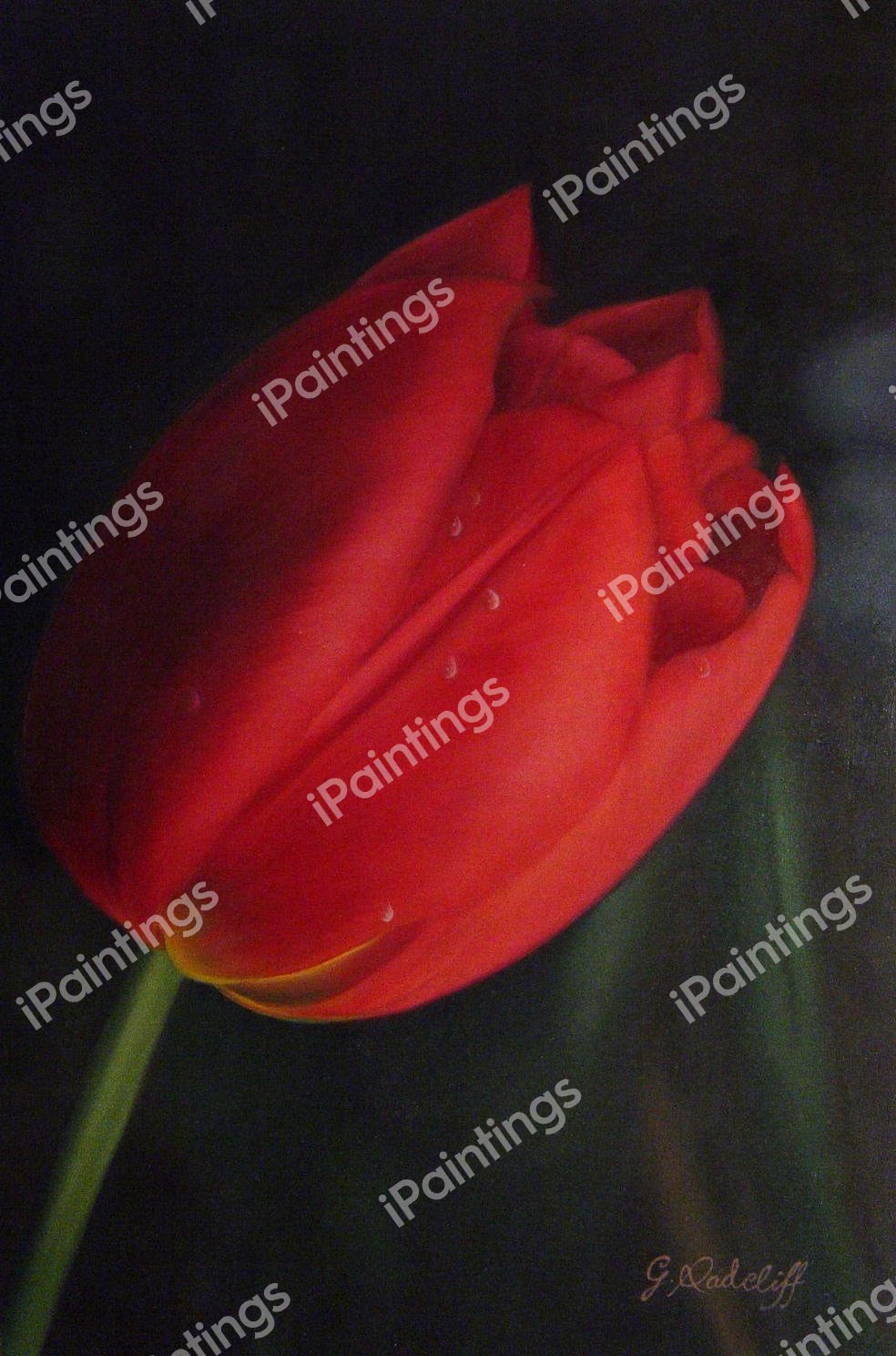 Portrait Of A Tulip. The painting by Our Originals
