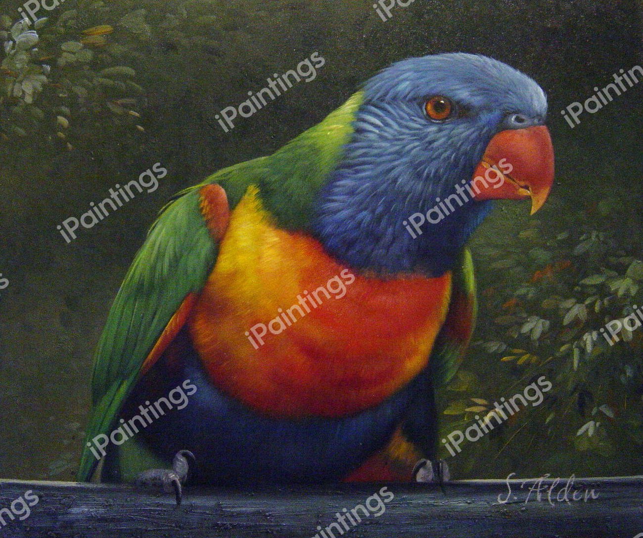 Rainbow Laurekeet. The painting by Our Originals