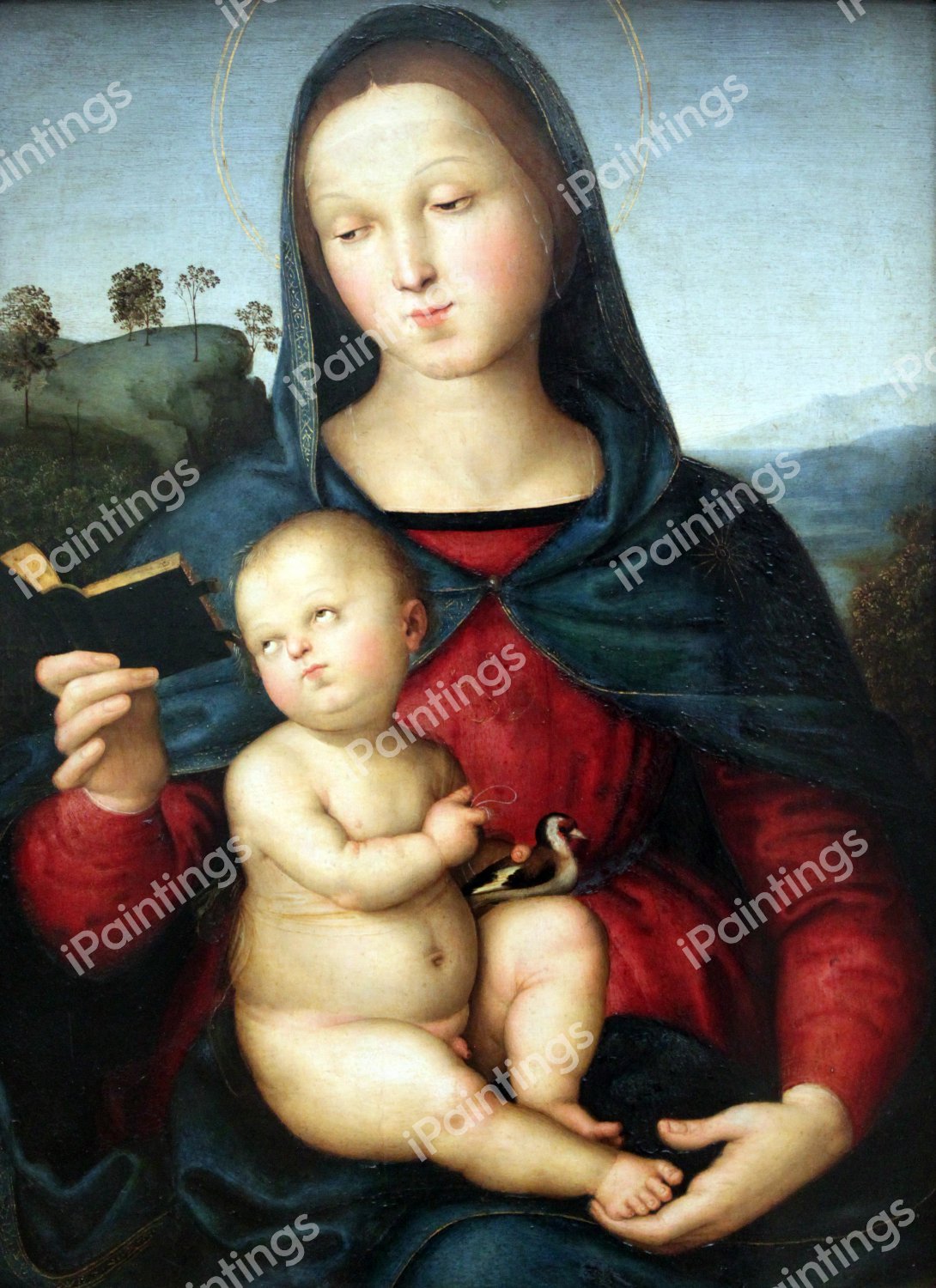 Madonna Solly. The painting by Raphael 