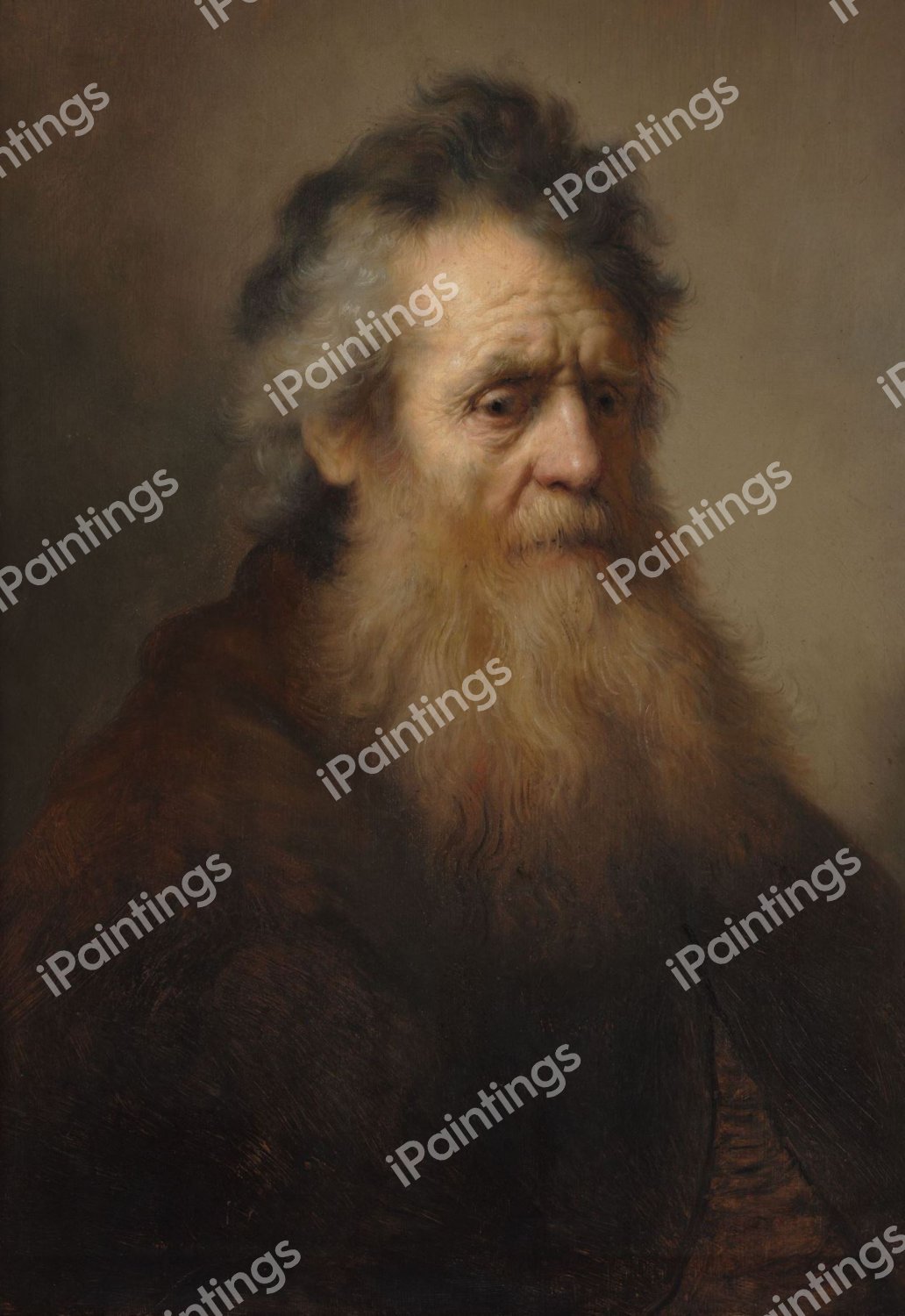 Portrait of an Old Man. The painting by Rembrandt van Rijn