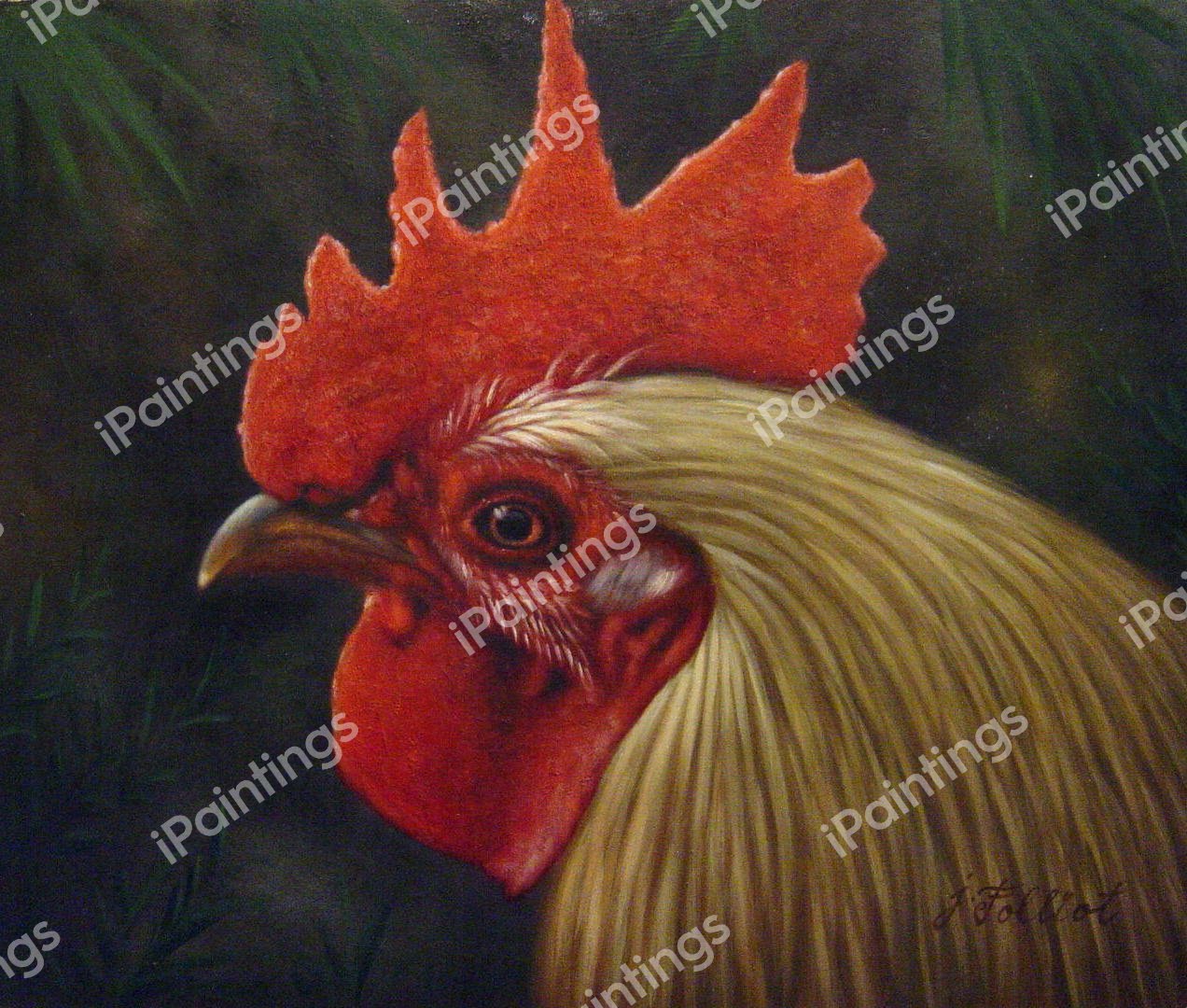 Rooster Closeup. The painting by Our Originals