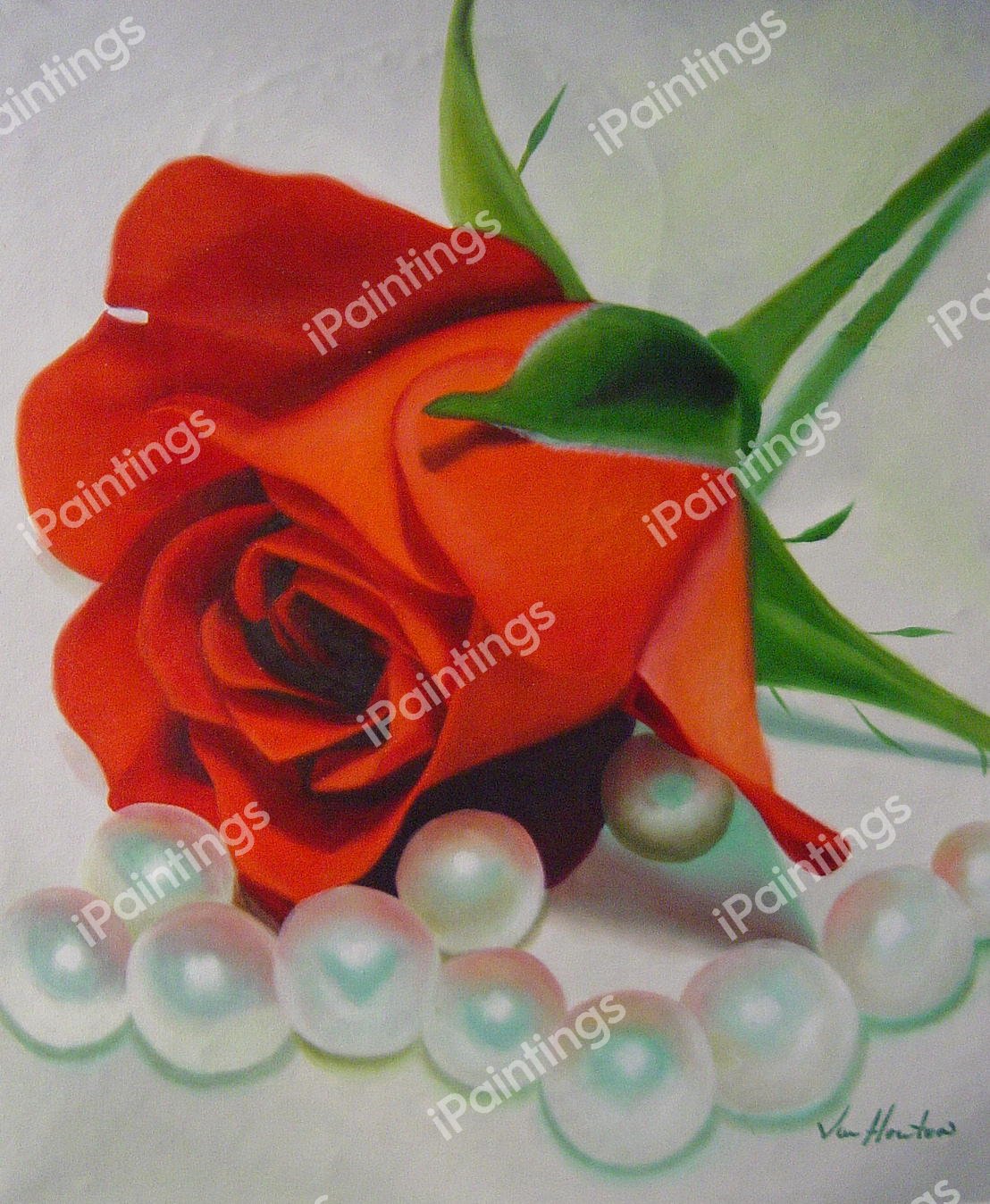 Rose And Pearls. The painting by Our Originals