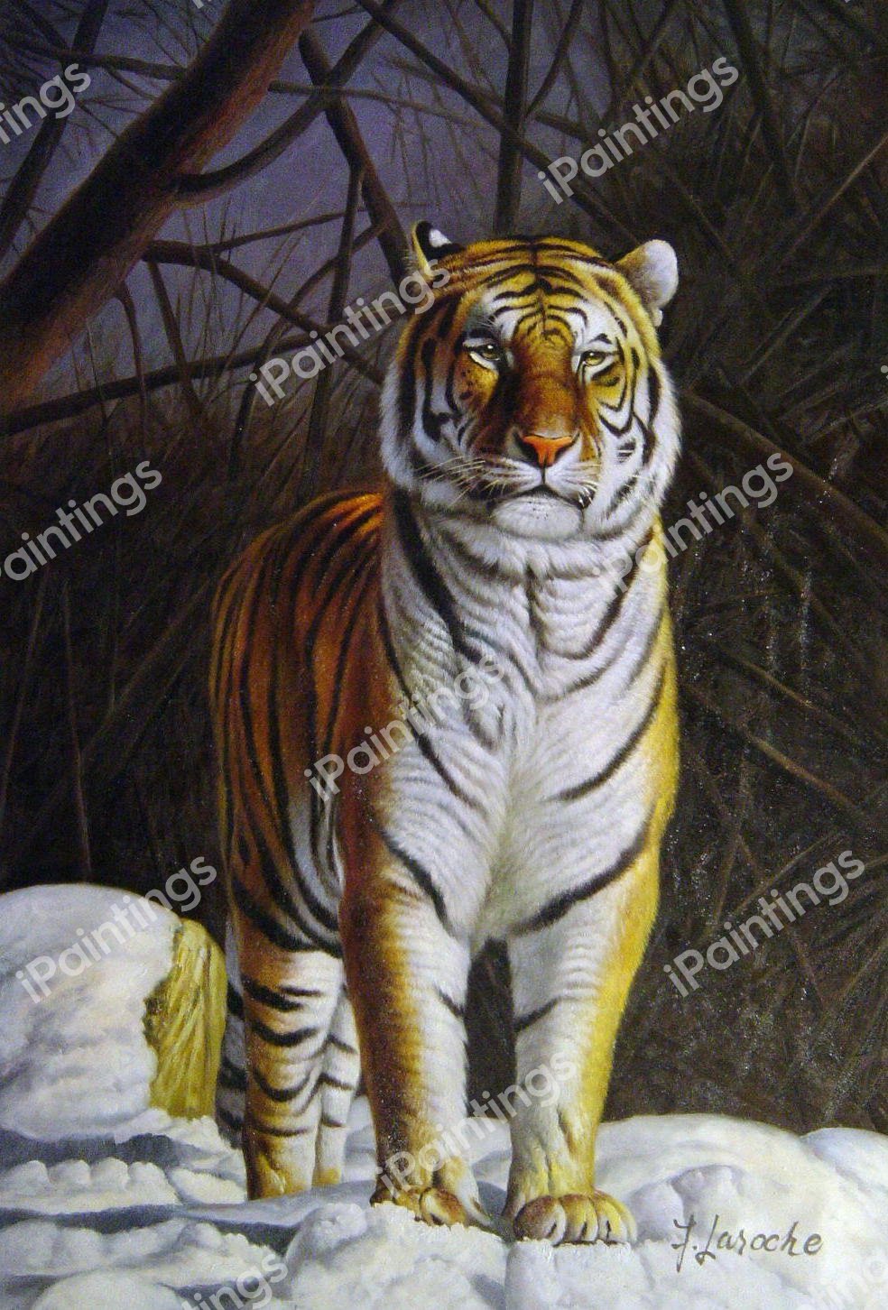 Siberian Tiger In The Snow. The painting by Our Originals