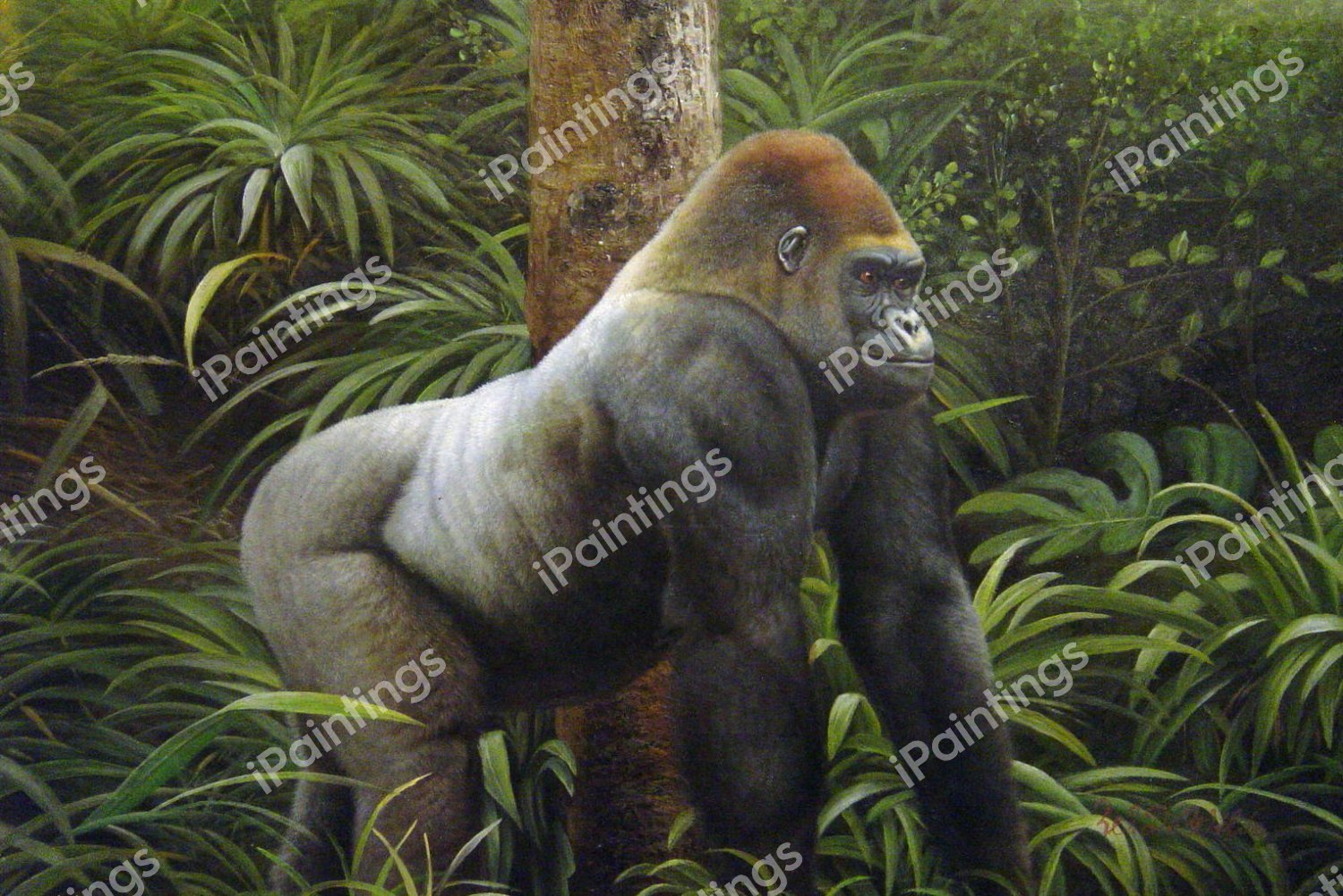 Silverback Gorilla. The painting by Our Originals