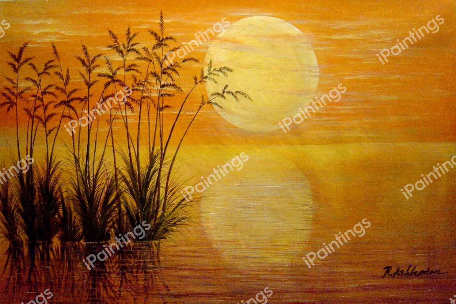 Spectacular Sunset. The painting by Our Originals