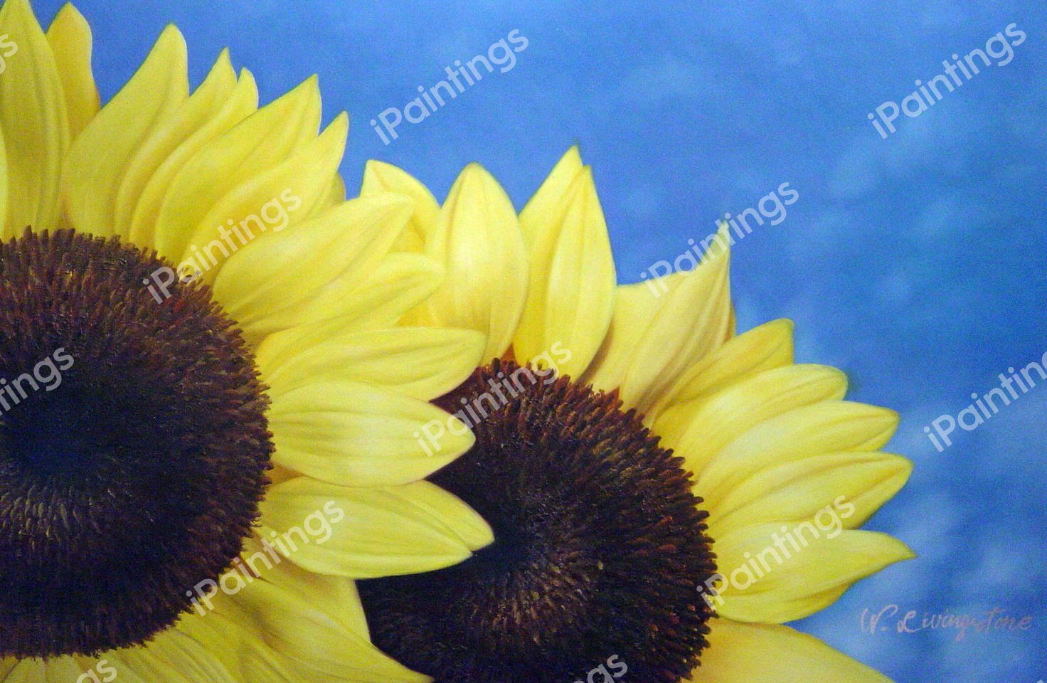 Sunflowers. The painting by Our Originals