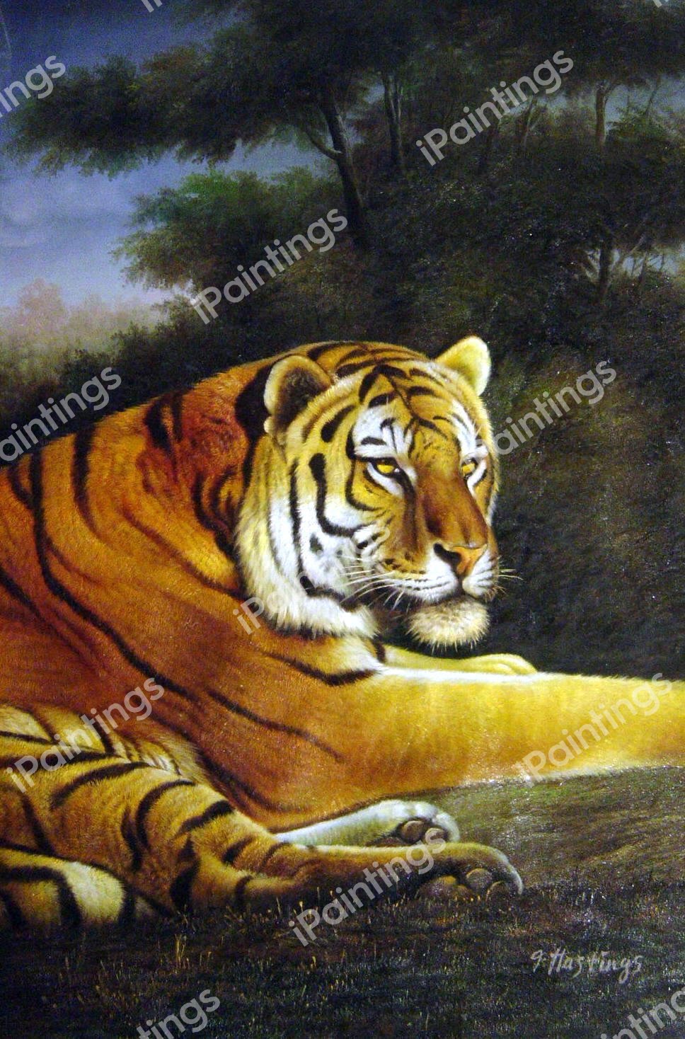 Sunset Tiger. The painting by Our Originals