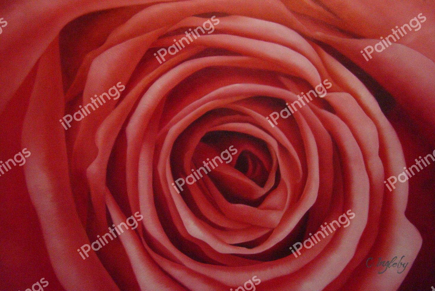 The Beautiful Red Rose. The painting by Our Originals