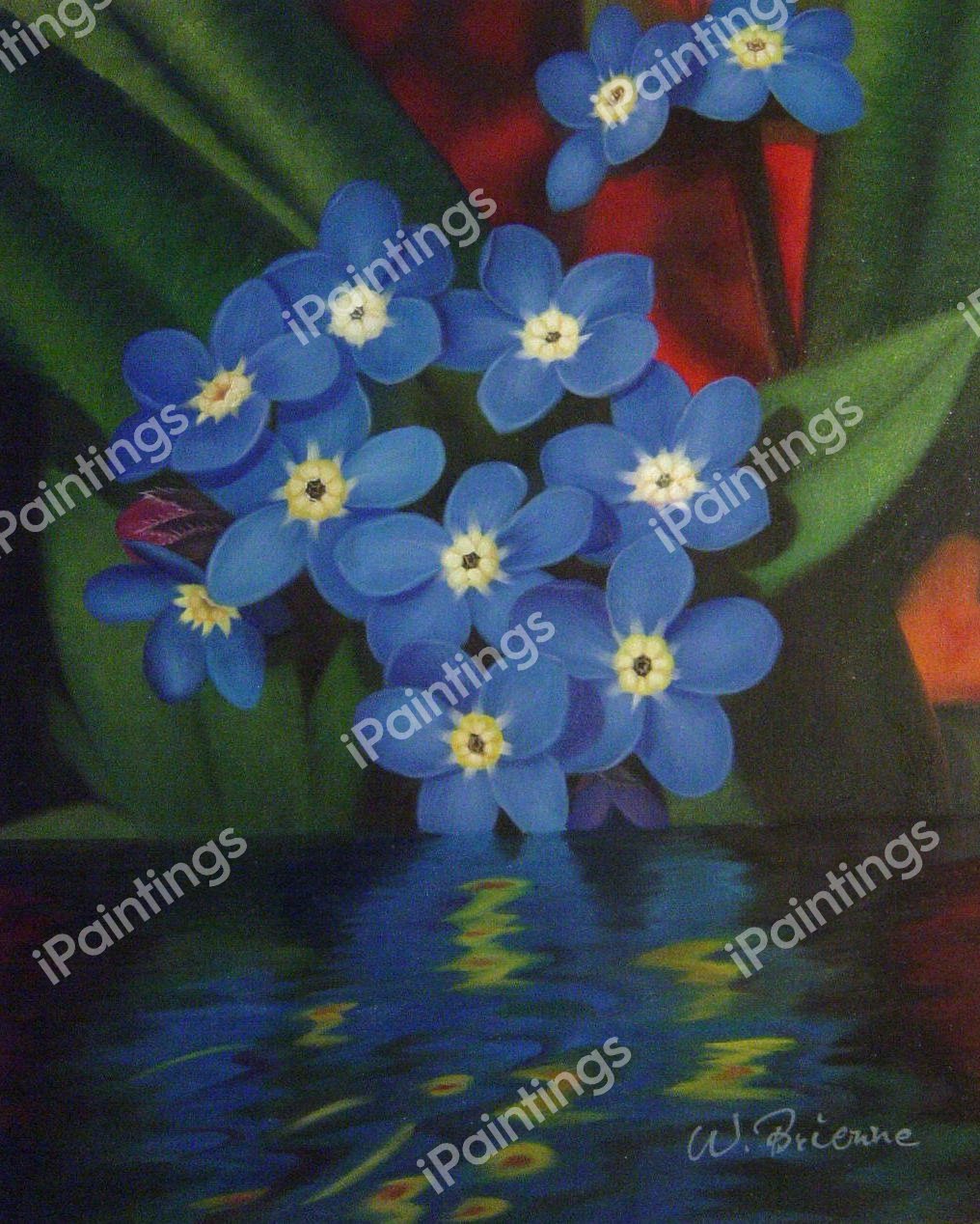 The Forget Me Nots. The painting by Our Originals