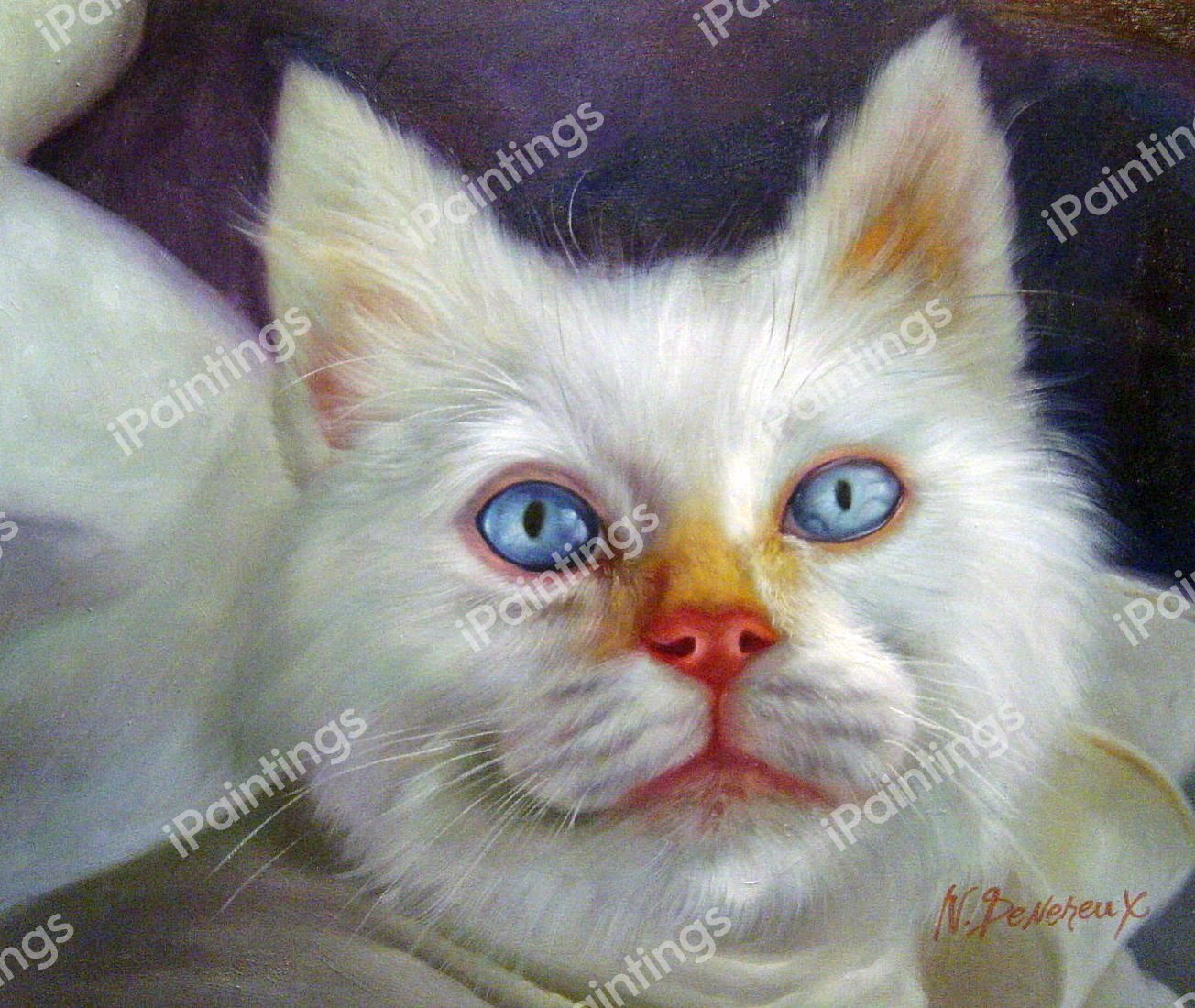 The Kitten With Beautiful Eyes. The painting by Our Originals
