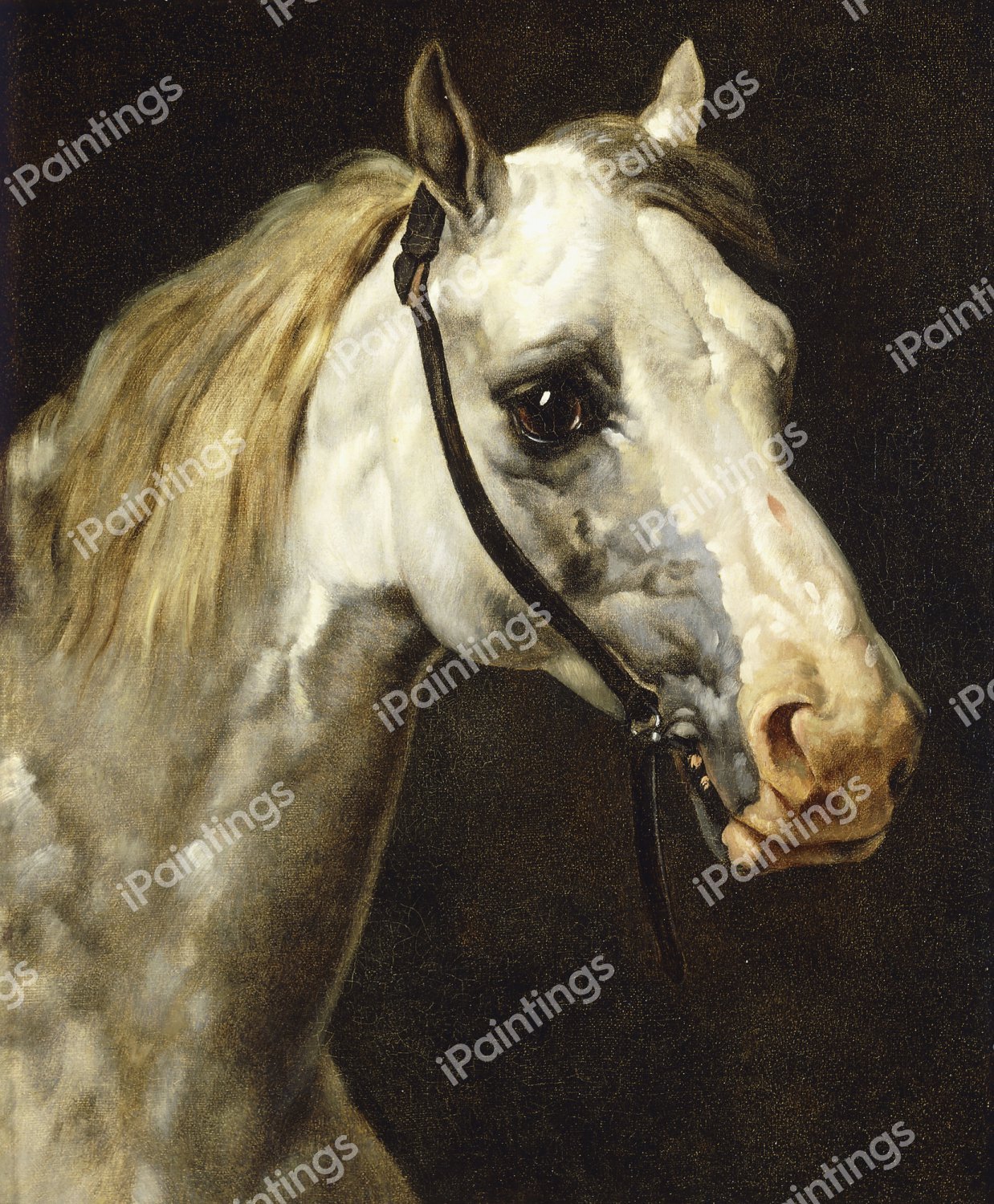 Head of a Piebald Horse. The painting by Theodore Gericault