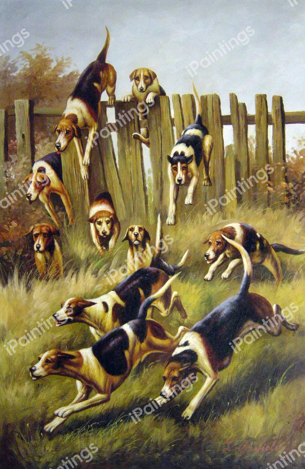 Hounds At Full Cry. The painting by Thomas Blinks
