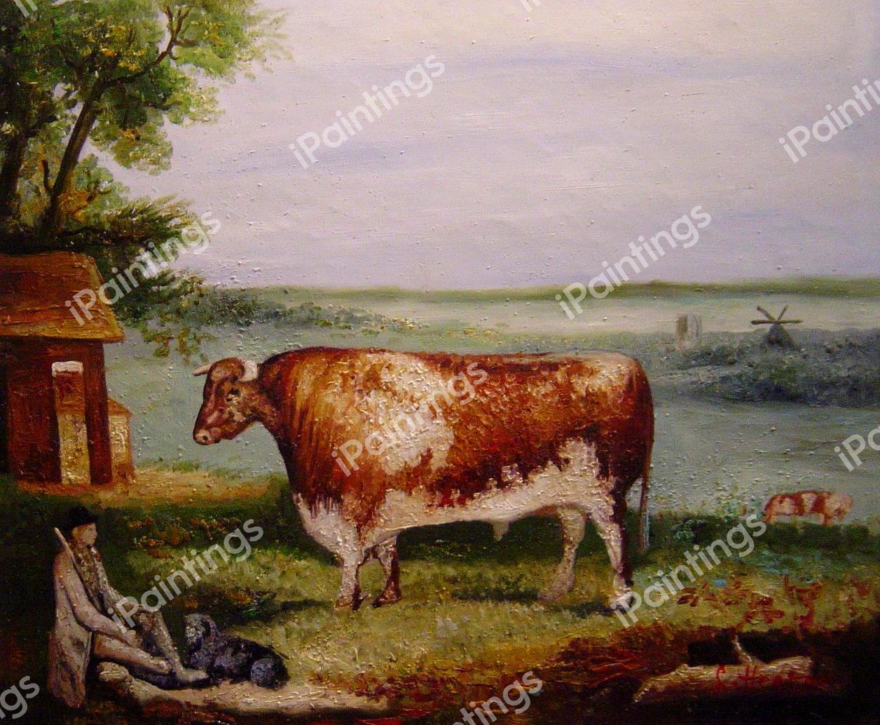 Short Horned Bull, Patriot. The painting by Thomas Weaver