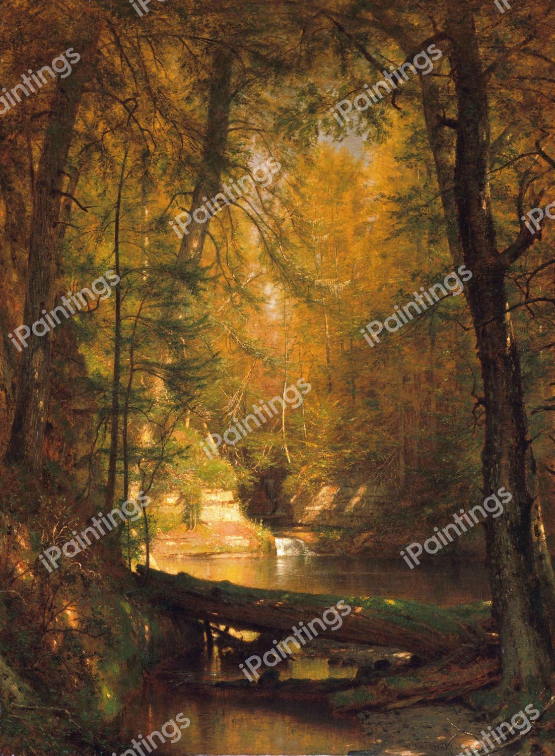 The Trout Pool. The painting by Thomas Worthington Whittredge