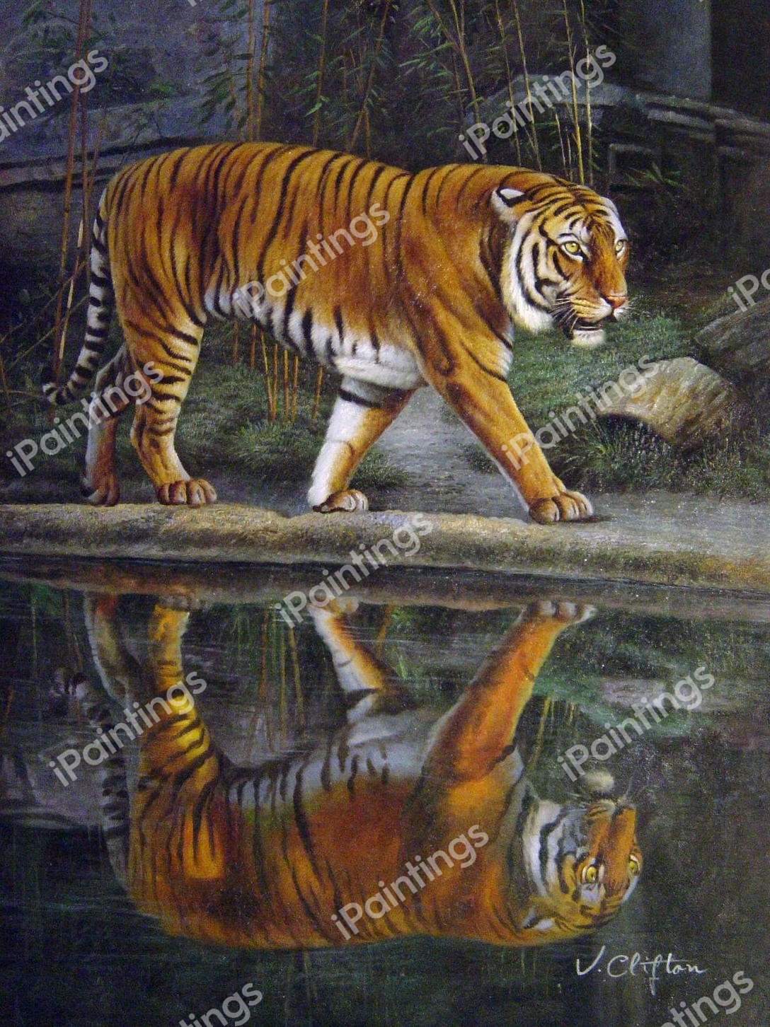 Tiger Reflection. The painting by Our Originals