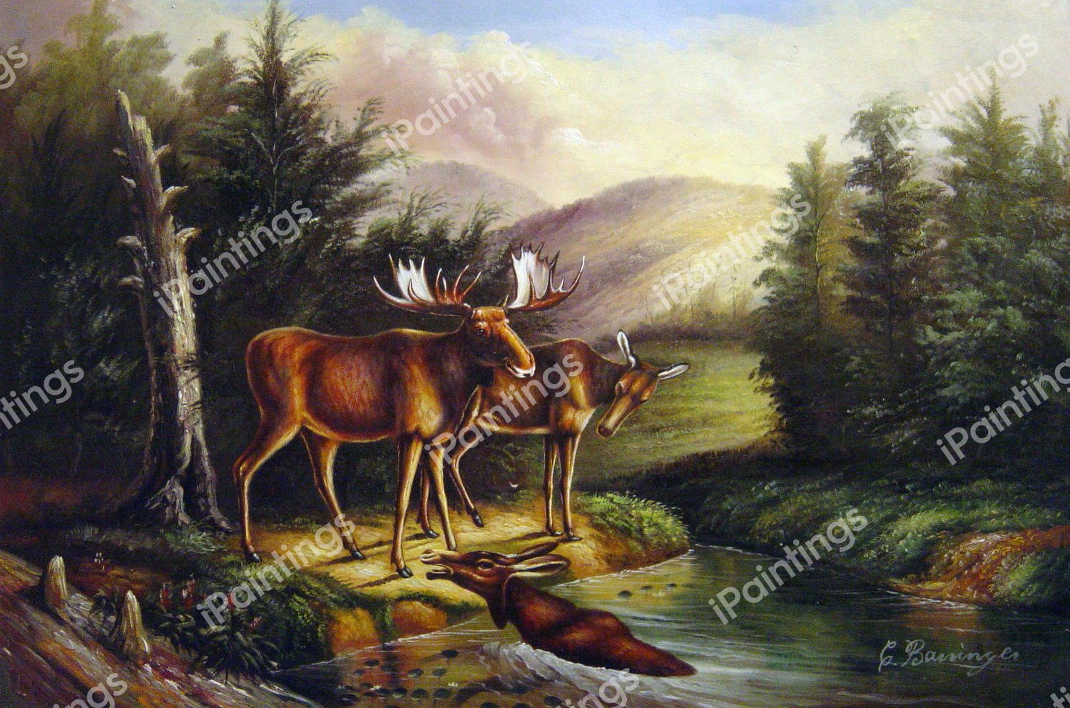 Moose In Maine. The painting by Titian Ramsey Peale
