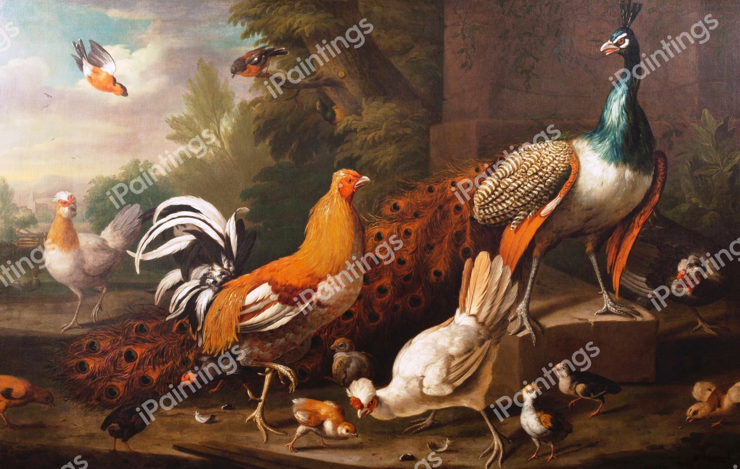 Peacock, a Gamecock, three Tufted Hens and other Birds in a Landscape. The painting by Tobias Stranover