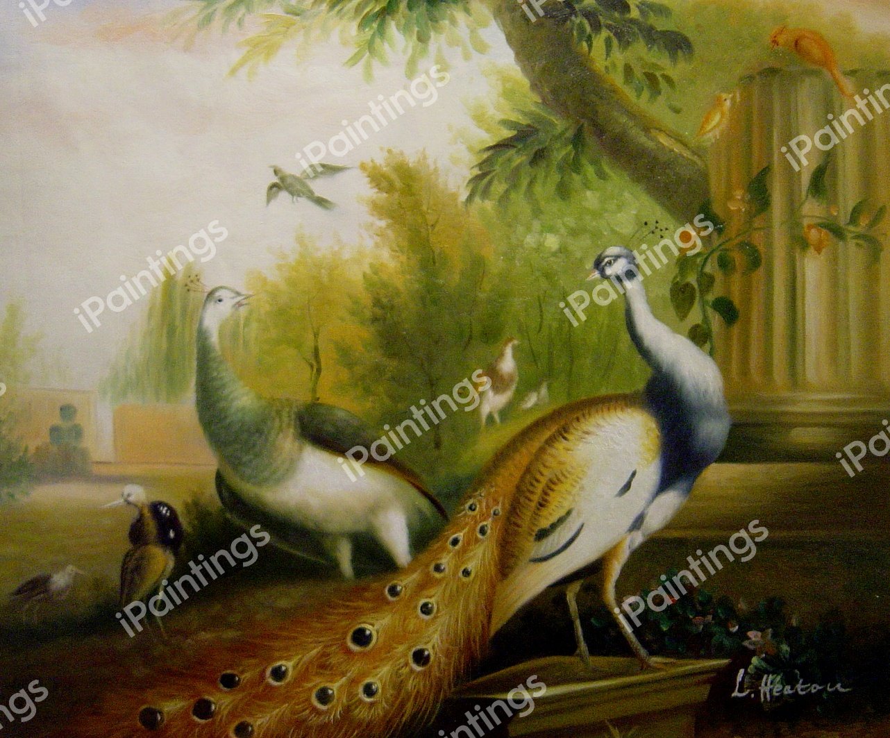Peacock and Peahen With A Red Cardinal In A Classical Landscape. The painting by Tobias Stranover
