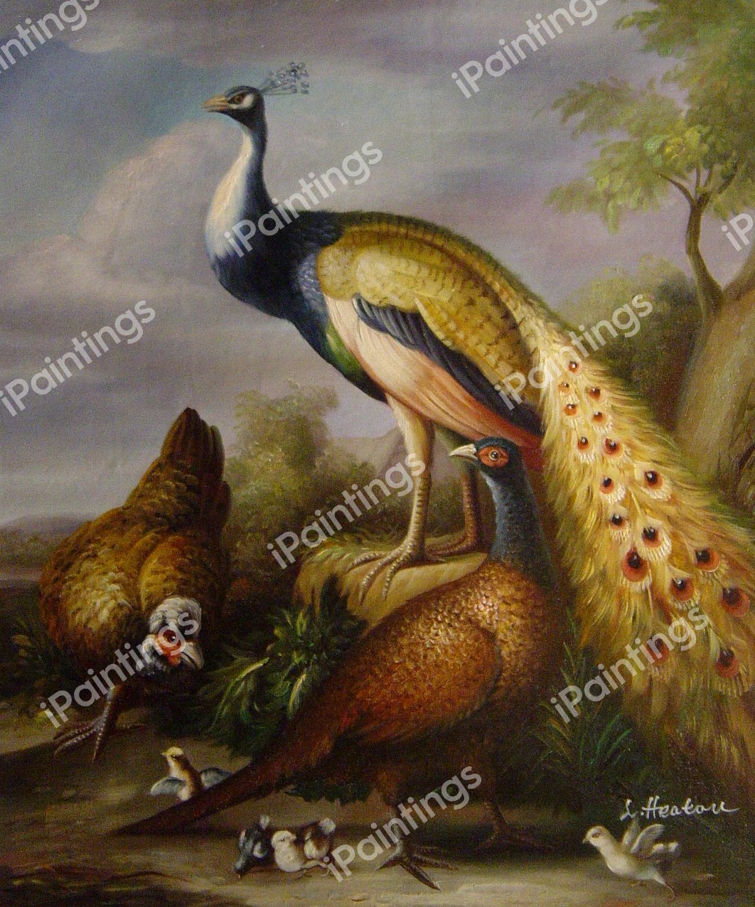 Peacock, Hen And Cock Pheasant In A Landscape. The painting by Tobias Stranover