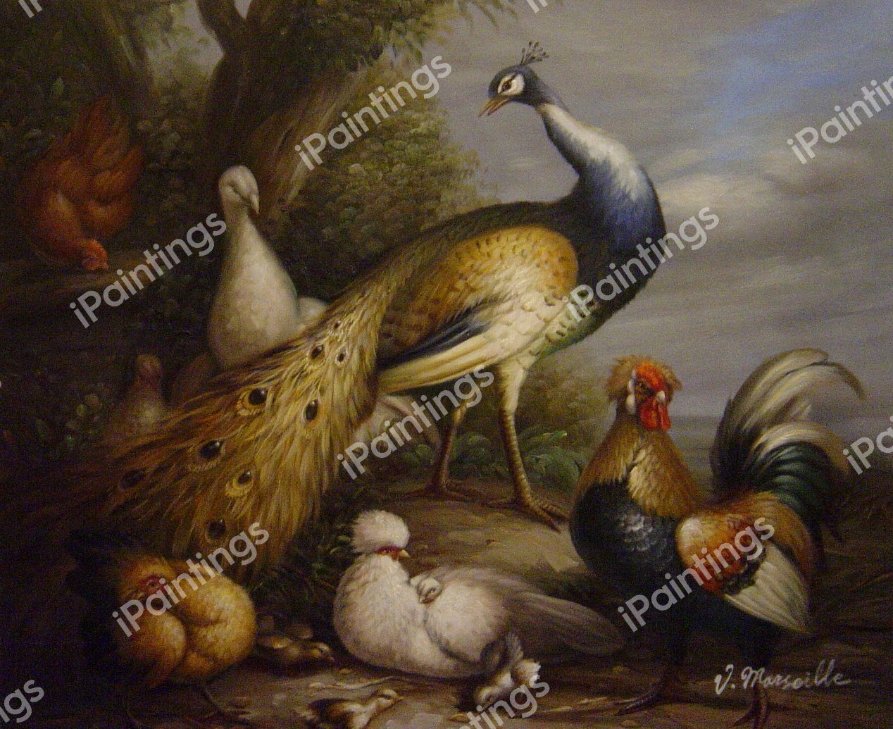 Peacock, Hen And Poultry In A Landscape. The painting by Tobias Stranover