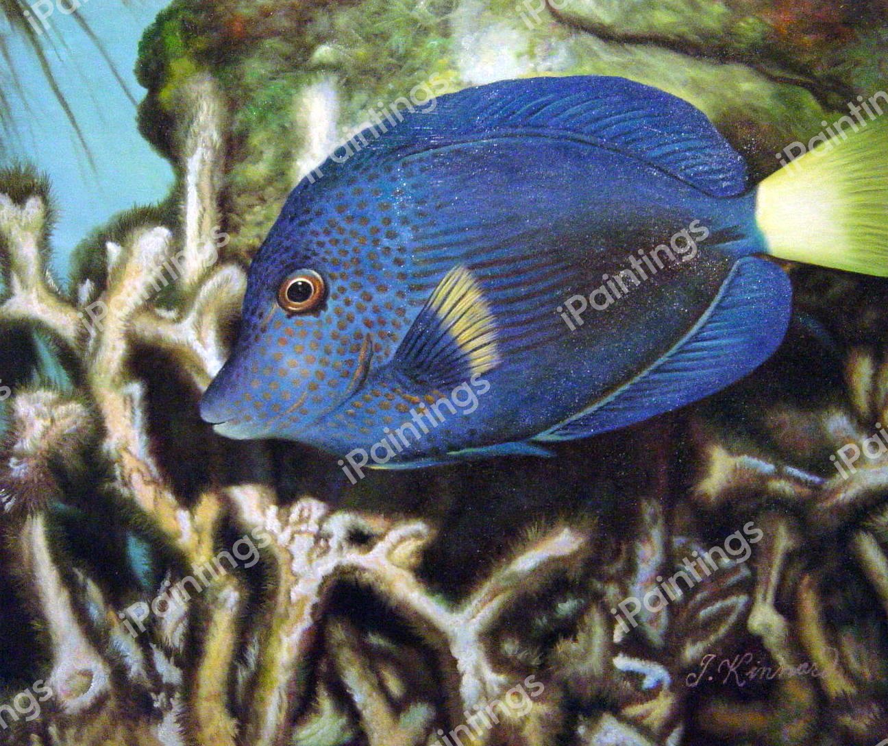 Tropical Fish. The painting by Our Originals